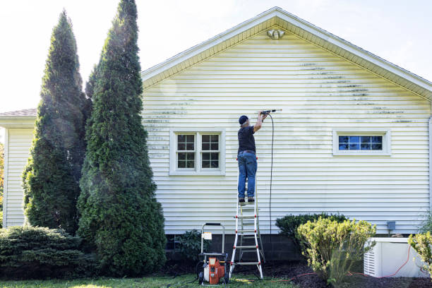 Best Solar Panel Cleaning  in Rutherford, PA